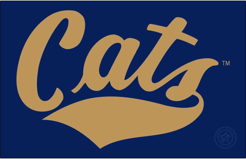 Montana State Bobcats 2017-Pres Wordmark Logo diy iron on heat transfer